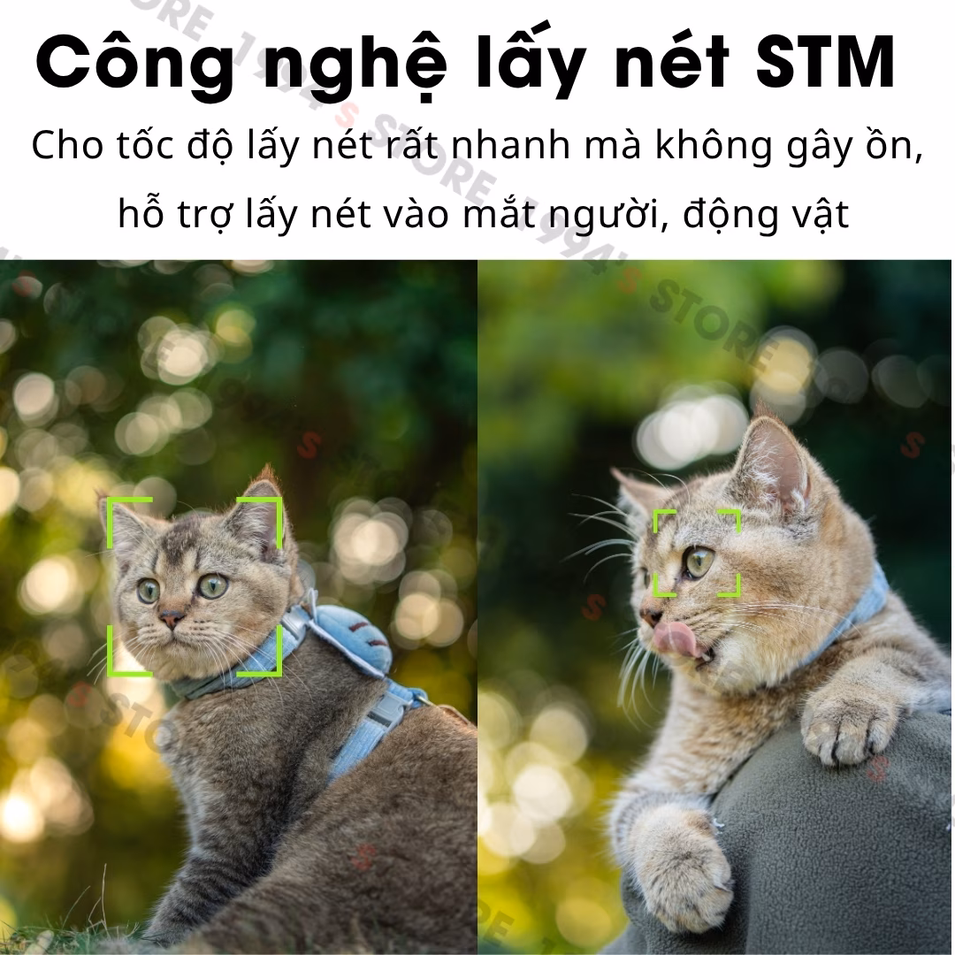 lens chân dung lấy nét tự động cho canon r