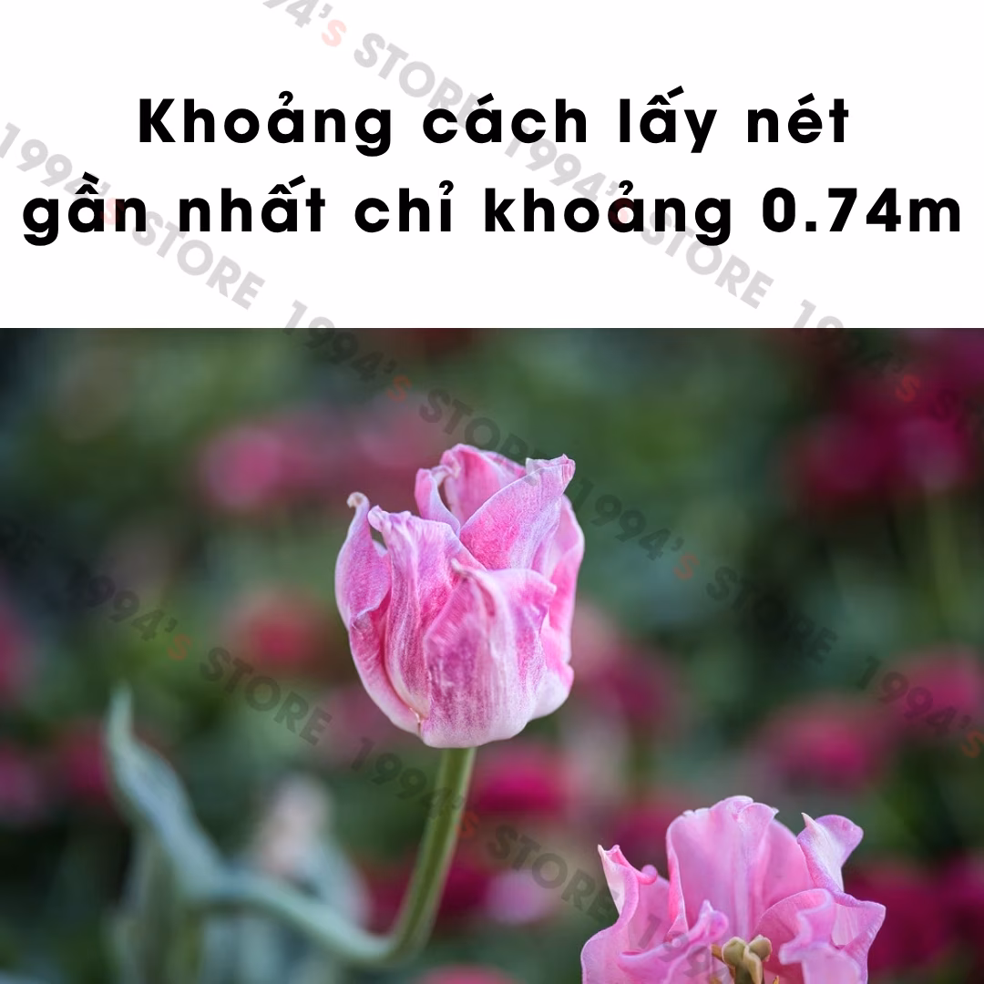 ống kính viltrox 90mm f2.2 evo chính hãng