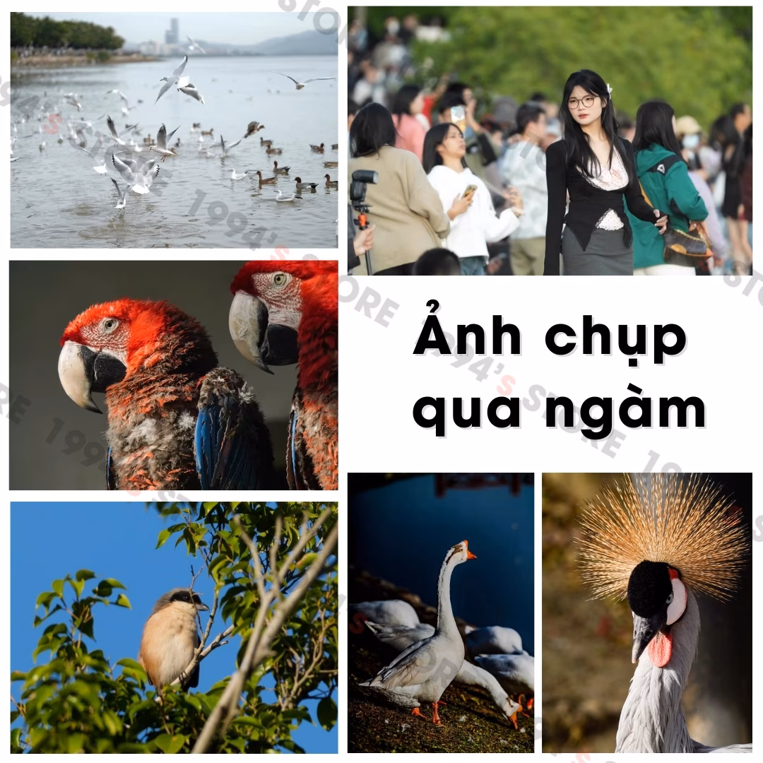 Ngàm chuyển Viltrox TELECONVERTER 2.0X giúp nhân đôi tiêu cự