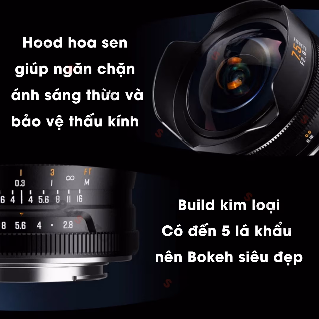 Ống kính Brightin Star 7.5mm F2.8 Mark IV Fisheye cho X/E/EOSM/R/M43/Z